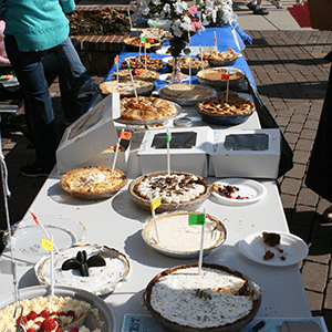 All of the lovely pies! 